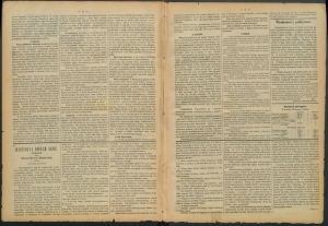 gazeta-1885-52-00002