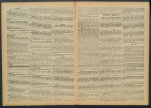 gazeta-1885-63-00002
