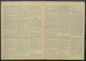gazeta-1885-66-00002
