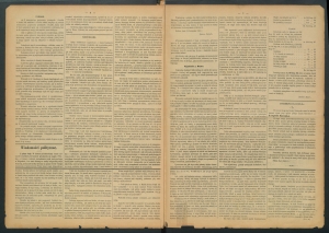 gazeta-1885-96-00002