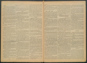gazeta-1886-19-00002