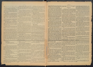 gazeta-1886-33-00002