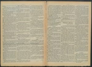 gazeta-1886-65-00002