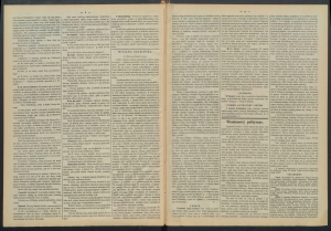 gazeta-1887-73-00002