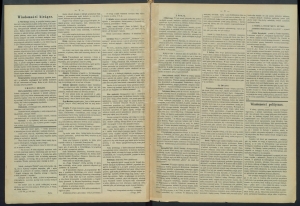gazeta-1887-89-00002
