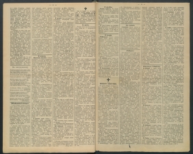 gazeta-1891-13-00003