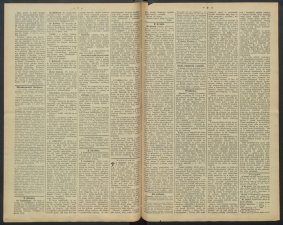 gazeta-1891-72-00002