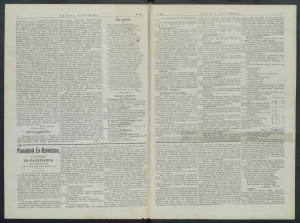 gazeta-1899-104-00002